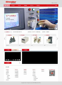 浙江申樂電氣 攜手上海專業團隊，打造數字化企業新門戶